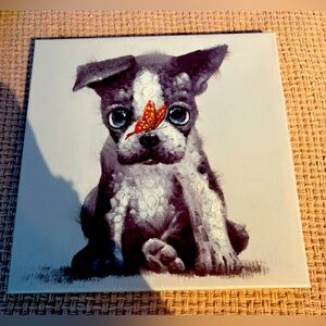 Cute dog with butterfly wall hanging
